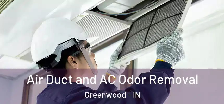 Air Duct and AC Odor Removal Greenwood - IN