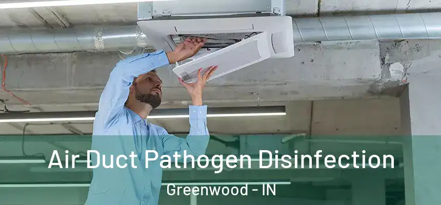  Air Duct Pathogen Disinfection Greenwood - IN