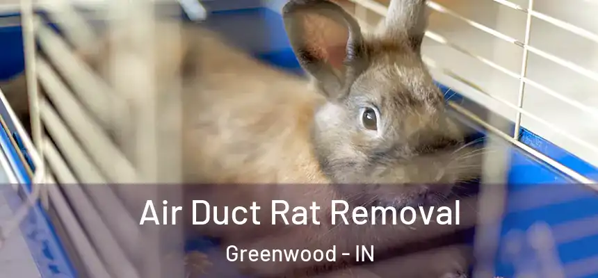  Air Duct Rat Removal Greenwood - IN