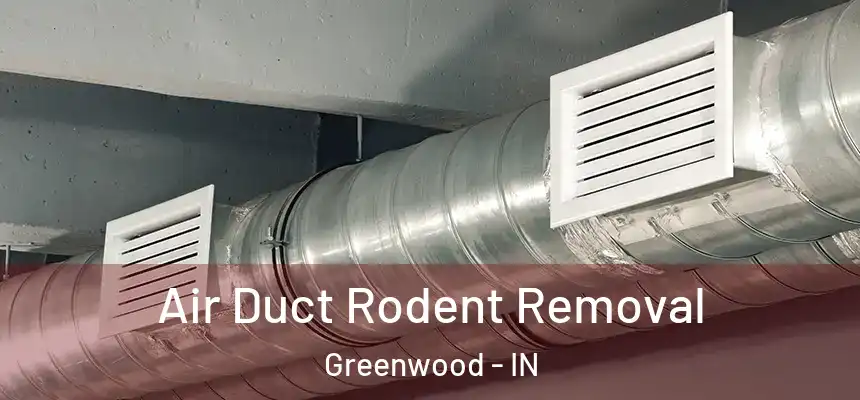  Air Duct Rodent Removal Greenwood - IN