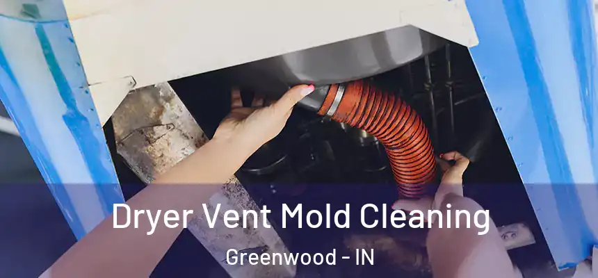  Dryer Vent Mold Cleaning Greenwood - IN