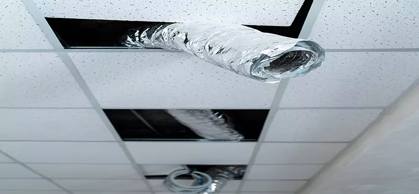 Our Air Duct Pet Hair Removal Services in Greenwood, IN