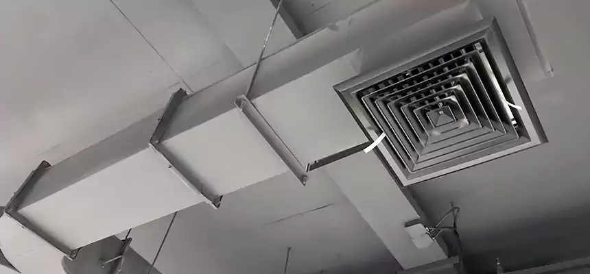 Restorative Allergy Relief Vent Cleaning – Coil, Blower & Housing Detail in Greenwood