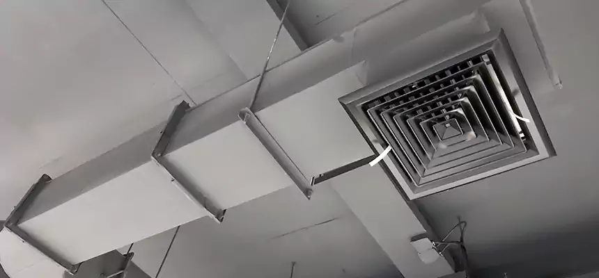 Our Pest Removal From Ducts Services in Greenwood, IN