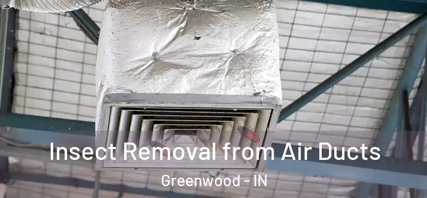  Insect Removal from Air Ducts Greenwood - IN