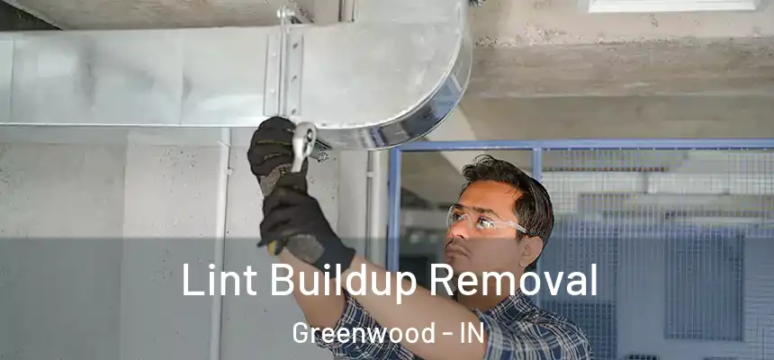  Lint Buildup Removal Greenwood - IN