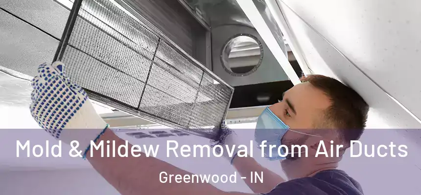  Mold & Mildew Removal from Air Ducts Greenwood - IN