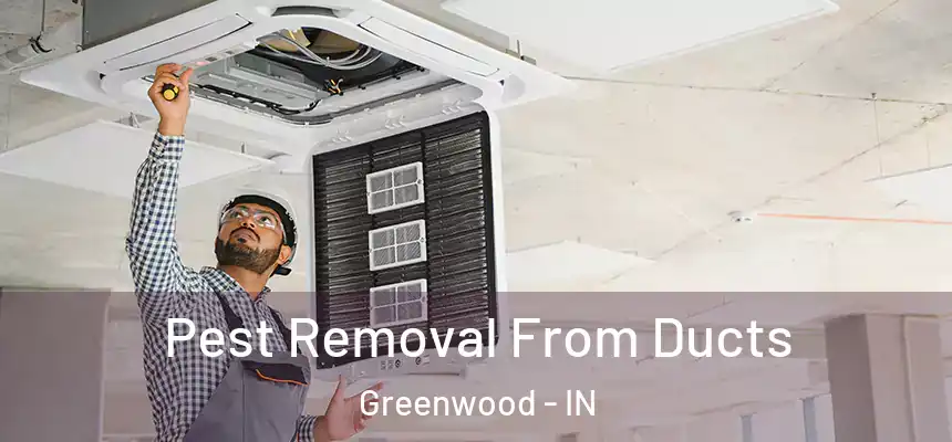  Pest Removal From Ducts Greenwood - IN
