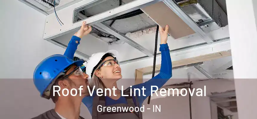  Roof Vent Lint Removal Greenwood - IN