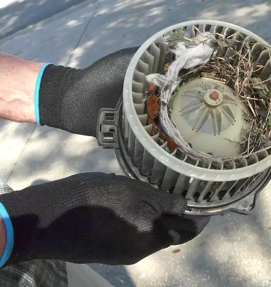 About Air Duct Mice Removal in Greenwood, IN