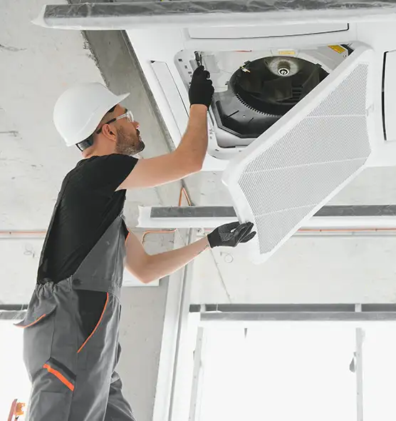 About Air Duct Rodent Removal in Greenwood, IN