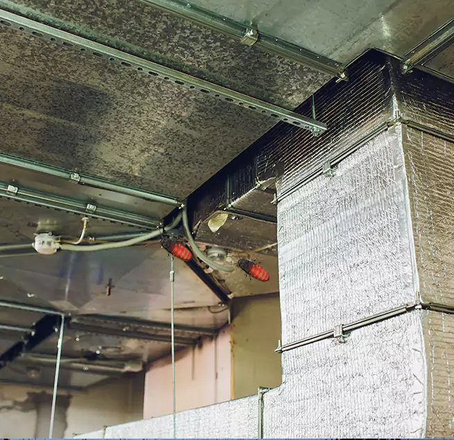 Why Homeowners & Businesses Trust Us in Greenwood, IN?